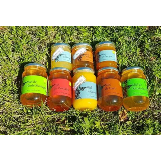 Miel de Fleurs sauvages 500g