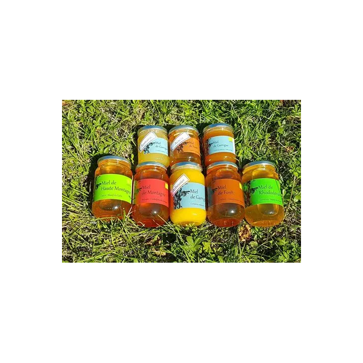 Miel de Montagne 500g