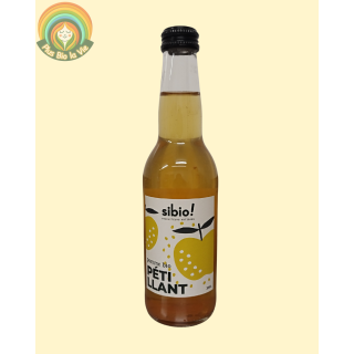 Pomme pétillante 33cl