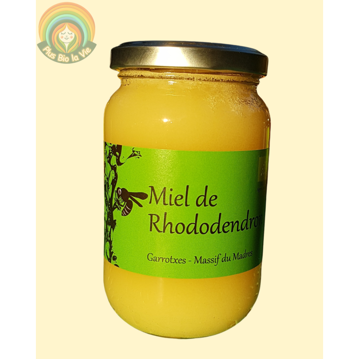 Miel de Rhodendron 500g