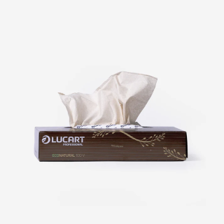 Mouchoirs - boite de 100-