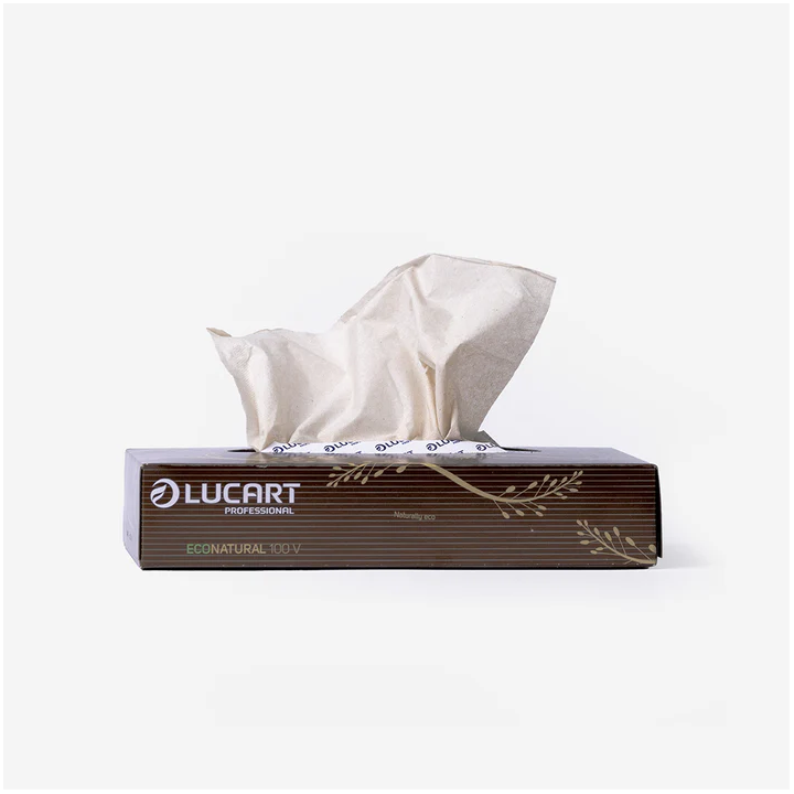 Mouchoirs - boite de 100-