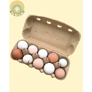 Œufs fermiers -surplus du poulailler de Jenny- Boîte de 10 Œufs
