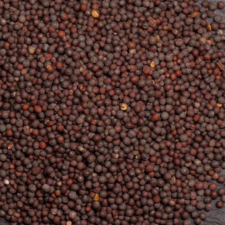 Moutarde Noire graine 3kg