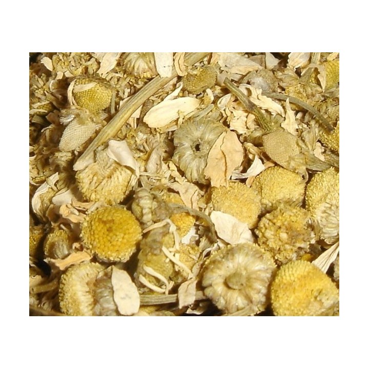 Camomille Matricaire fleur 500g