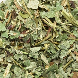 Mélisse brisure 500g