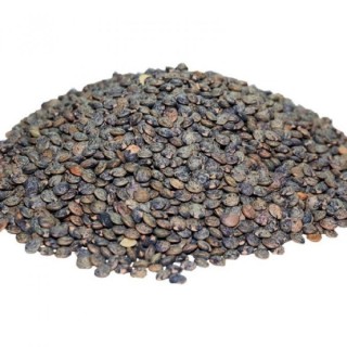 Lentilles vertes