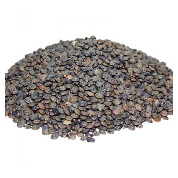 Lentilles vertes