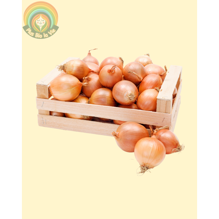 Oignons jaunes -2.5 Kg