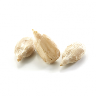 Graines de Tournesol 500g