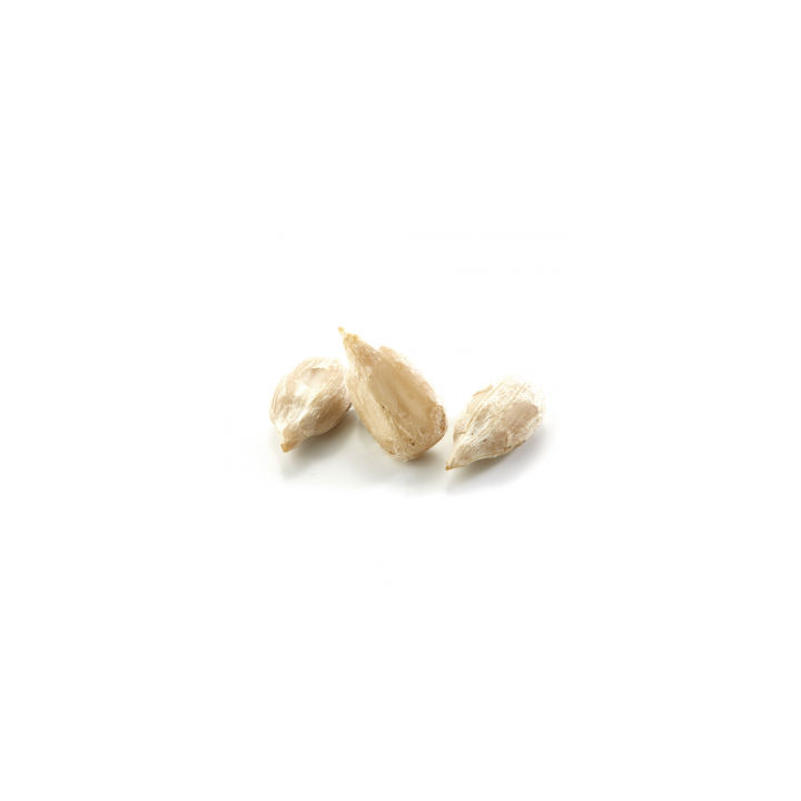 Graines de Tournesol 500g