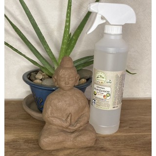 Nettoyant Multi-surfaces sans rinçage Agrumes 500ml