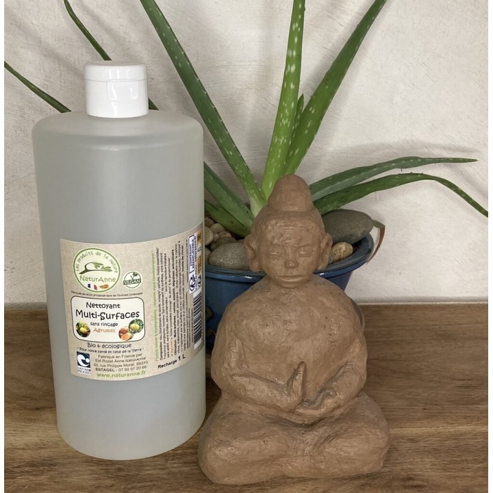 Nettoyant Multi-surfaces sans rinçage Agrumes 1L