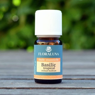 Basilic tropical 10ml