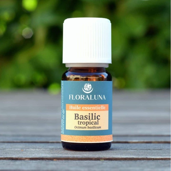 Basilic tropical 10ml