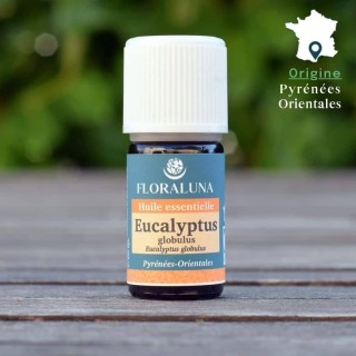 Eucalyptus globulus 10ml