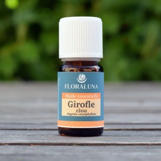 Girofle 10ml