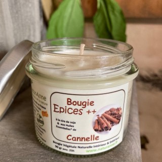Bougie Epices 90g