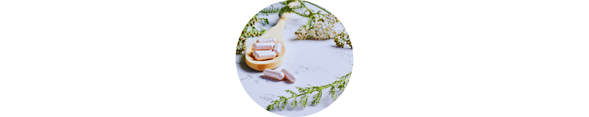 COMPLEMENT ALIMENTAIRE