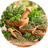 Herbes aromatiques