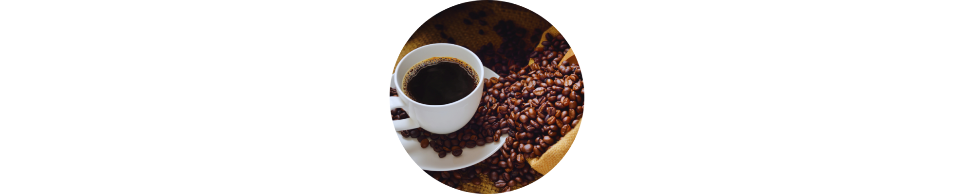 Café - chicorée - cacao