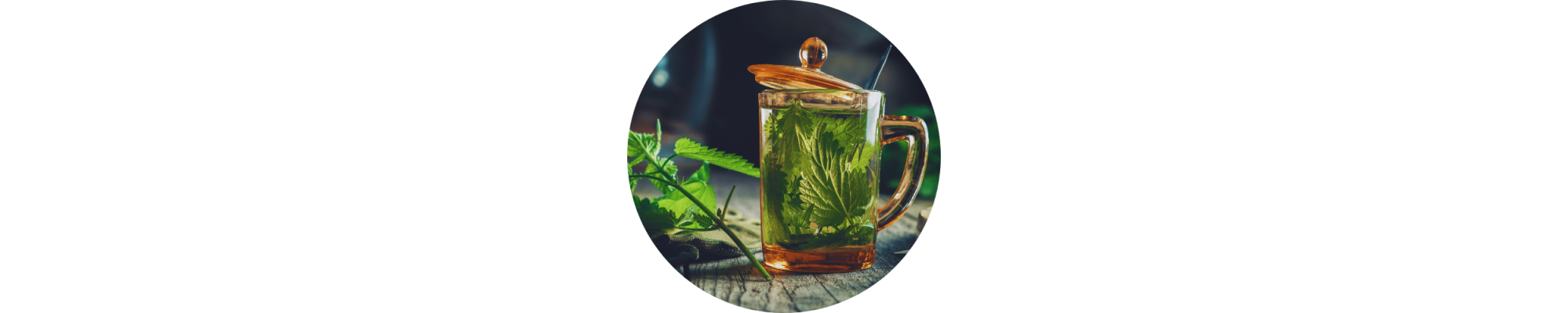 Thé et infusion