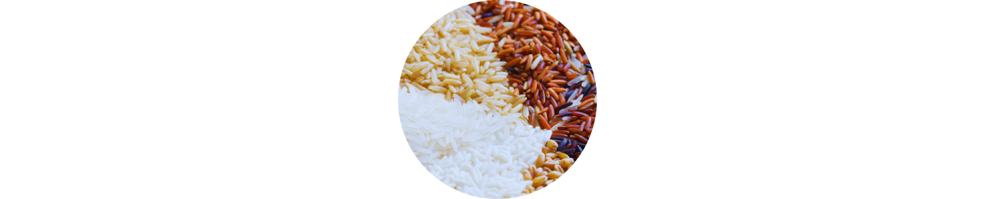 RIZ