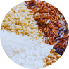 RIZ