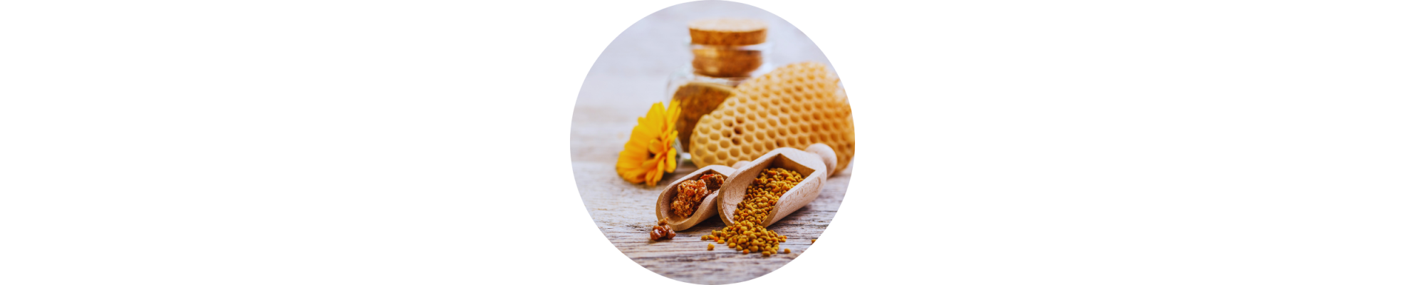 PROPOLIS
