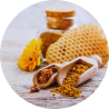 PROPOLIS