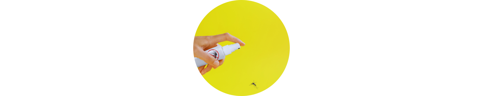 ANTI-INSECTES