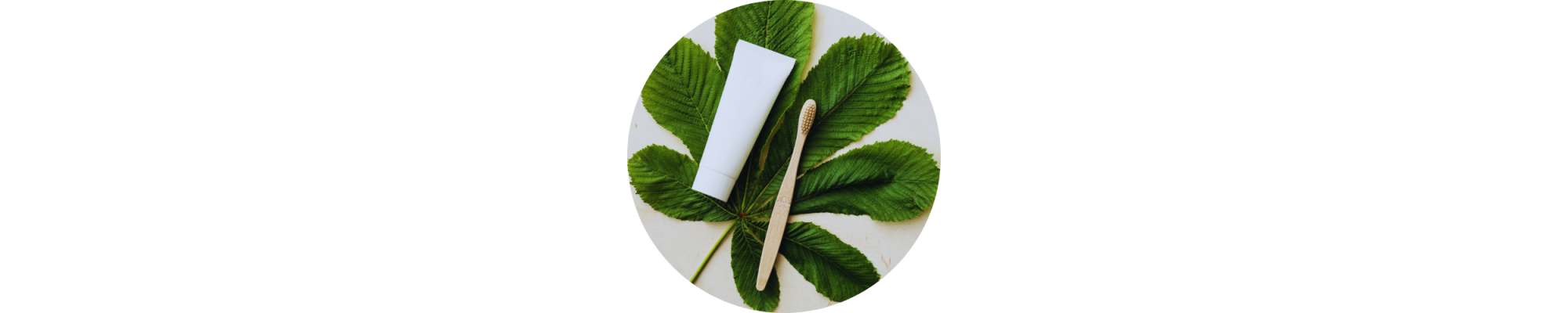 DENTIFRICE