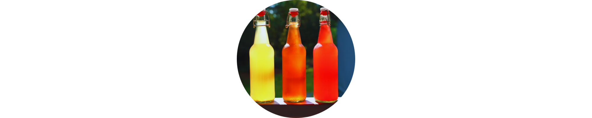 KOMBUCHA