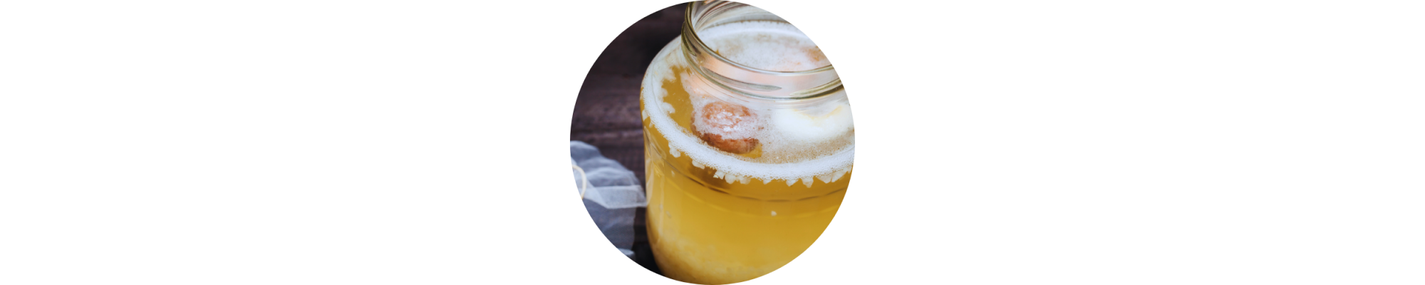 KEFIR