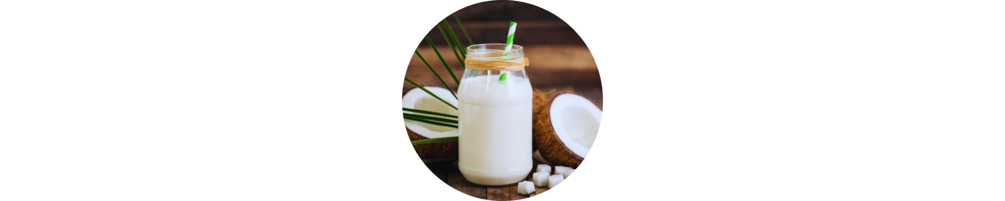 BOISSON VEGETALE